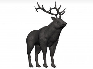 Elk 3Dモデル