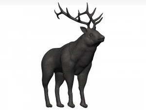 Elk 3D Model