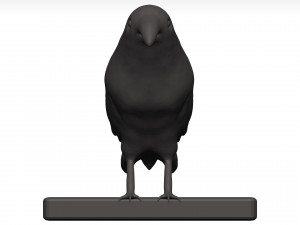 Fich Modèle 3D