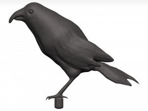 Fich Modèle 3D