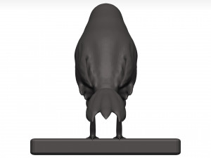 Fich Modèle 3D