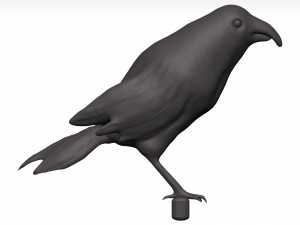 Fich Modèle 3D