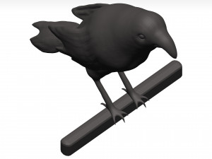 Fich Modèle 3D