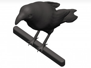 Fich Modèle 3D