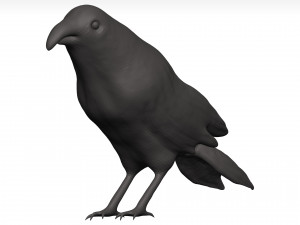 Fich Modèle 3D