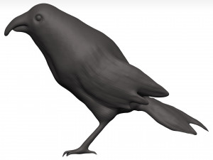 Fich Modèle 3D