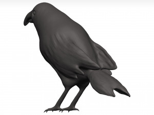 Fich Modèle 3D