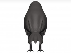 Fich Modèle 3D