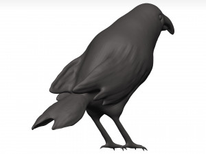 Fich Modèle 3D