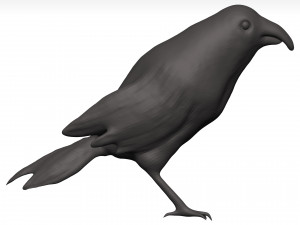 Fich Modèle 3D