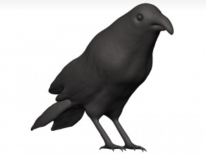 Fich Modèle 3D