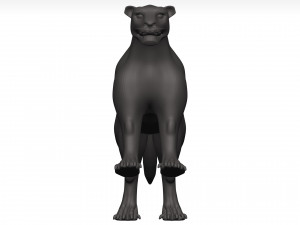 Florida panther 3Dモデル