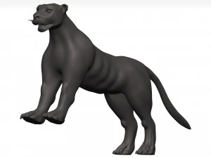Florida panther 3D Model