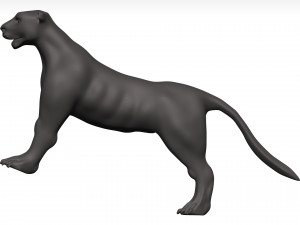 Florida panther 3Dモデル