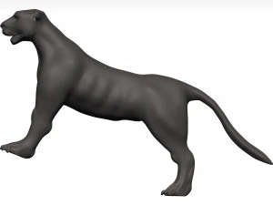 Florida panther 3D Model