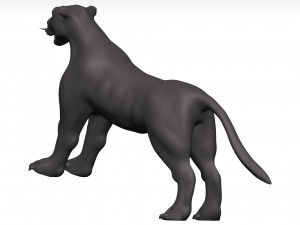 Florida panther 3Dモデル