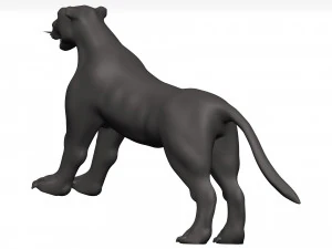 Florida panther 3D Model