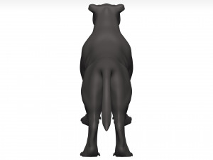 Florida panther 3Dモデル