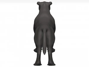 Florida panther 3D Model