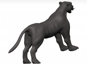 Florida panther 3Dモデル