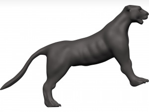 Florida panther 3Dモデル