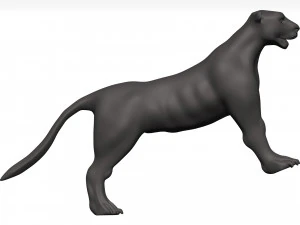 Florida panther 3D Model