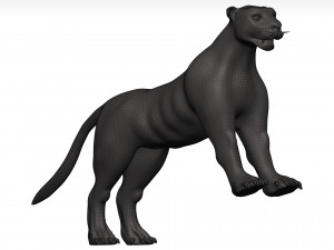 Florida panther 3Dモデル