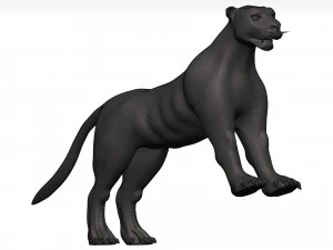 Florida panther 3D Model