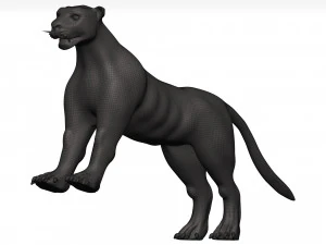 Florida panther 3D Model