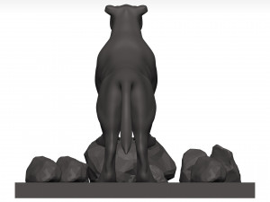 Florida panther 3Dモデル