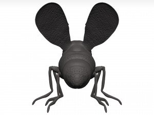 Fly 3D मॉडल