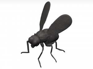 Fly 3D मॉडल