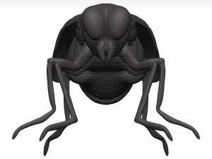 Fly 3D मॉडल