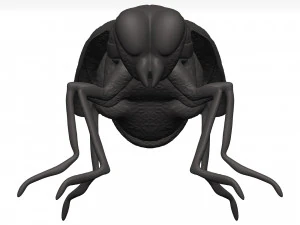 Fly 3D Model