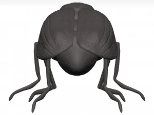 Fly 3D Model