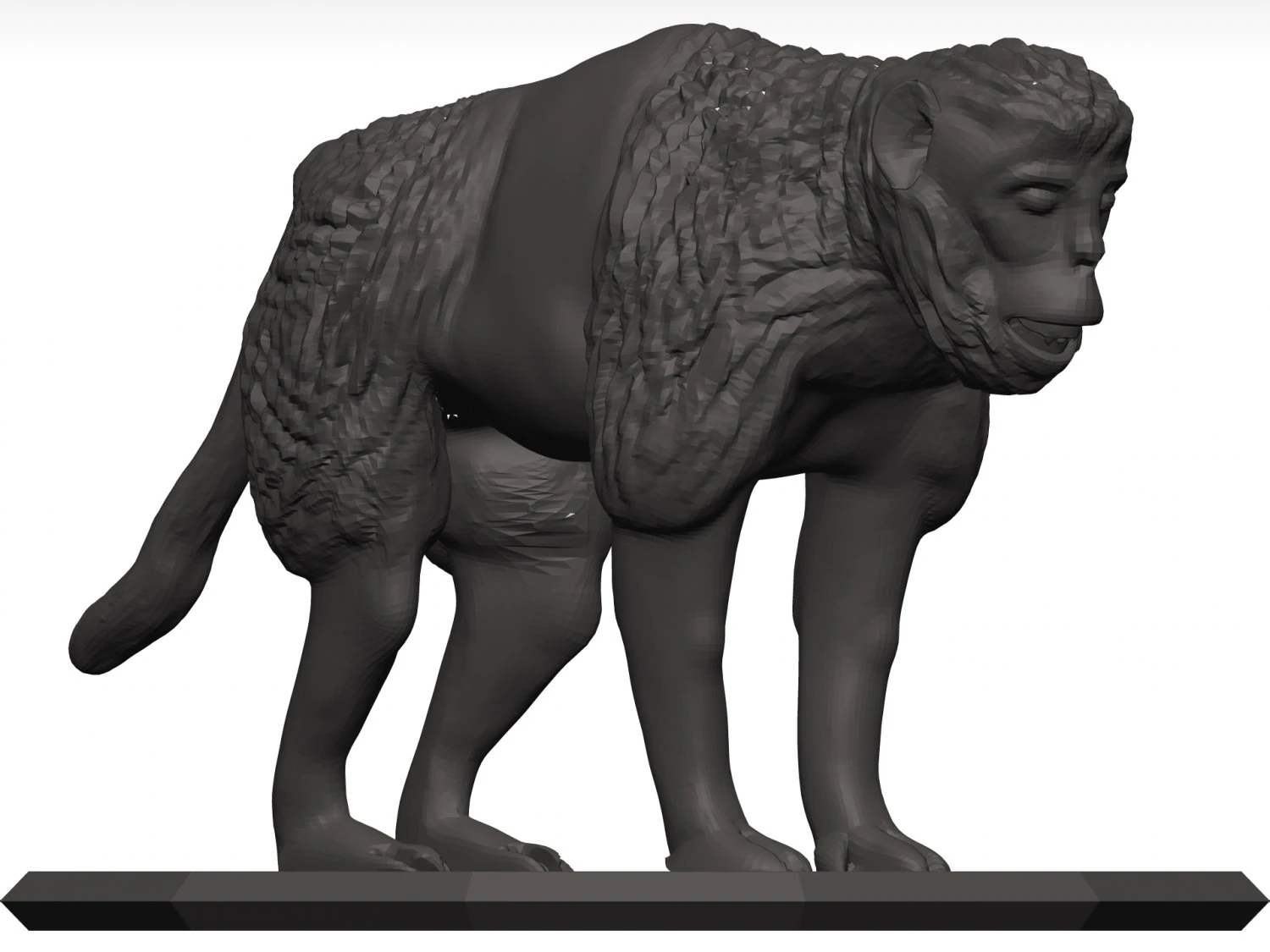 Gelada 3D Model .c4d .max .obj .3ds .fbx .stl .blend 