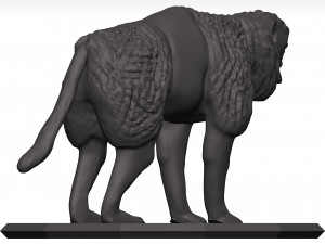 Gelada Modèle 3D