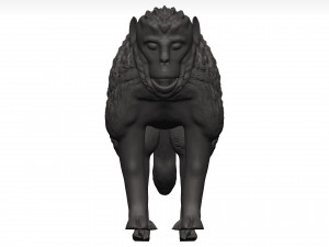 Gelada Modèle 3D