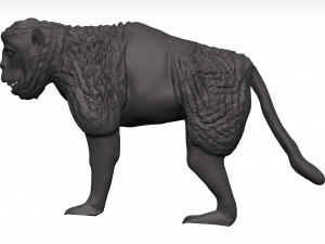 Gelada Modèle 3D