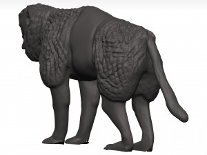 Gelada Modèle 3D