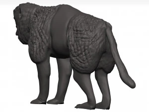 Gelada 3D Model