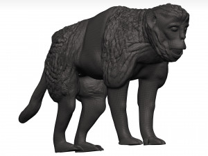 Gelada Modèle 3D