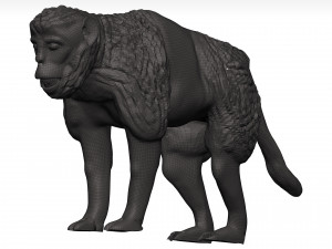 Gelada Modèle 3D
