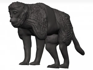 Gelada 3D Model