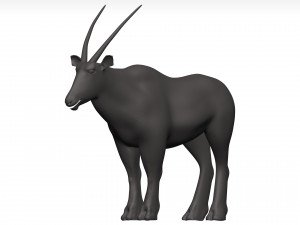 Gemsbok Modello 3D