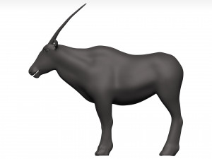 Gemsbok Modello 3D