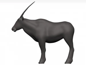 Gemsbok 3D Model