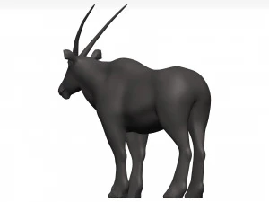 Gemsbok 3D Model