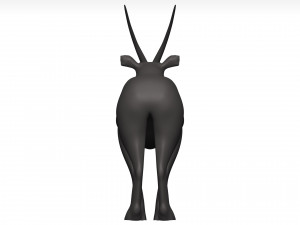 Gemsbok Modello 3D