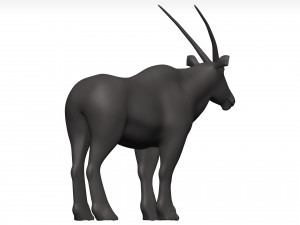 Gemsbok Modello 3D